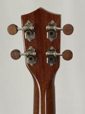 G-Labo 【名古屋GWセール】CTM G-ORDER -Avalon-DISH1 SM15F_7