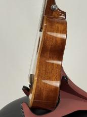 G-Labo 【名古屋GWセール】CTM G-ORDER -Avalon-DISH1 SM15F_9