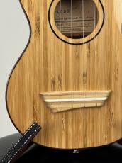 G-Labo 【名古屋GWセール】竹レレ DISH-1 TSB15FN_6