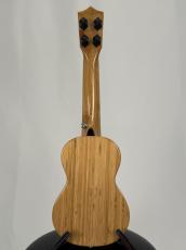 G-Labo 【名古屋GWセール】竹レレ DISH-1 TSB15FN_7