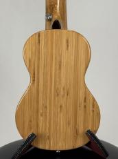 G-Labo 【名古屋GWセール】竹レレ DISH-1 TSB15FN_8