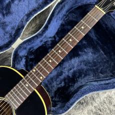 Headway HJ-2009 Limited Edition Ⅱ w/L.R.Baggs Anthem_6