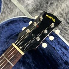 Headway HJ-2009 Limited Edition Ⅱ w/L.R.Baggs Anthem_7