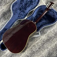 Headway HJ-2009 Limited Edition Ⅱ w/L.R.Baggs Anthem_9