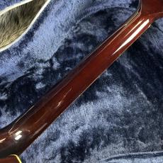 Headway HJ-2009 Limited Edition Ⅱ w/L.R.Baggs Anthem_10