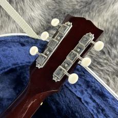 Headway HJ-2009 Limited Edition Ⅱ w/L.R.Baggs Anthem_11