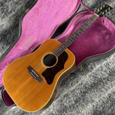 Gibson J-55 1976_2