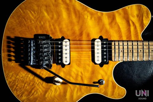 MUSIC MAN EVH Signature Trans Gold / 1993