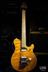MUSIC MAN EVH Signature Trans Gold / 1993_3
