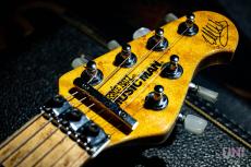 MUSIC MAN EVH Signature Trans Gold / 1993_4
