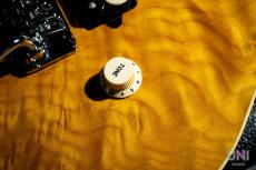 MUSIC MAN EVH Signature Trans Gold / 1993_6