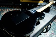 MUSIC MAN EVH Signature Trans Gold / 1993_8