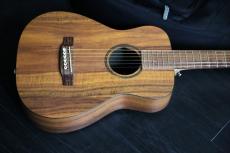 Martin Martin LXK2 専用ギグバック 　_6