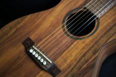 Martin Martin LXK2 専用ギグバック 　_7