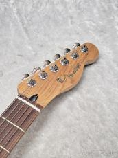 Fender 【傷アリ特価品】Limited Player II Telecaster Roasted Maple -Oxblood-【MX25047177】【3.64kg】_6