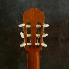 Takamine PT-307 80年代日本製 エレガット【1.85kg】_8