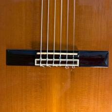 Takamine PT-307 80年代日本製 エレガット【1.85kg】_12