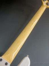 FUJIGEN NJB100MBAH V -White Blonde-【4.72kg】_9