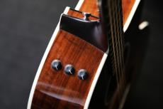 Taylor 214ce-CF DLX SB　_7