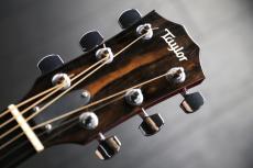 Taylor 214ce RED DLX_2