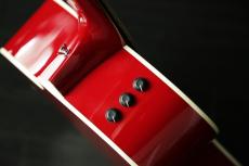 Taylor 214ce RED DLX_7