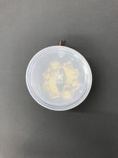 Beetronics TUNA FUZZ_7