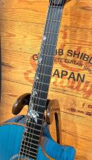 Taylor 【1本限定カスタム】Custom GA AA Flame Maple / Lutz Spruce Caribbean Fade【48回払い無金利】_5