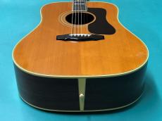 Guild D-55 NT_11