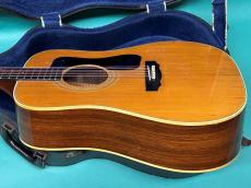 Guild D-50 NT_4