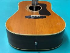 Guild D-50 NT_11