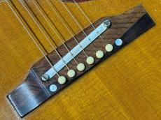 Gibson HUMMINGBIRD CS_10