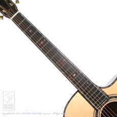 Fonzo Guitar V34S GA VC_5