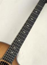 Taylor 50th Anniversary 314ce LTD【トレファイドスプルースの極鳴り】【世界1974本限定】_3