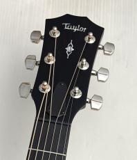 Taylor 50th Anniversary 314ce LTD【トレファイドスプルースの極鳴り】【世界1974本限定】_4