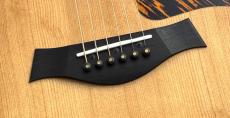 Taylor 50th Anniversary 314ce LTD【トレファイドスプルースの極鳴り】【世界1974本限定】_7