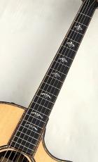 Taylor 【ステップアップセール】914ce V-Class #1203143040【レギュラーラインナップの最高峰】【48回無金利】_3