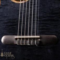 aNueNue aNN-LN77E _3