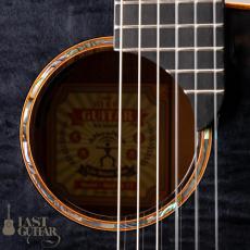 aNueNue aNN-LN77E _4