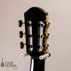 aNueNue aNN-LN77E _7