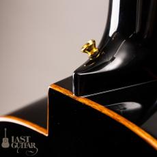 aNueNue aNN-LN77E _10