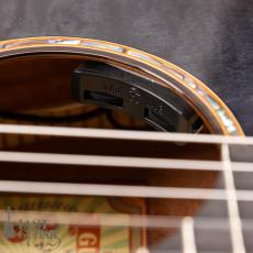 aNueNue aNN-LN77E _13