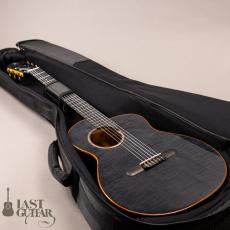 aNueNue aNN-LN77E _15