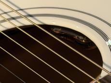 Gibson 【NEW】【Greatest Hits Vol.Ⅱ】Dove Alpine White Gloss #20166047【試奏動画あり】【G-CLUB TOKYO】_10