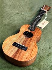 KoAloha KCM-10/UPT Concert Pikake 【コンサート/ハワイアンコア】【ギヤペグ仕様】【24回金利0%対象】【送料込】_2