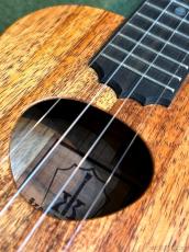 KoAloha KCM-10/UPT Concert Pikake 【コンサート/ハワイアンコア】【ギヤペグ仕様】【24回金利0%対象】【送料込】_6