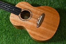 TODO MUSIC UTD-B10C Concert