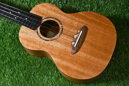 TODO MUSIC UTD-B10C Concert