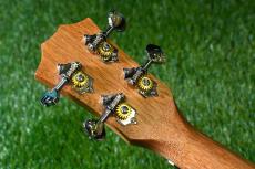 TODO MUSIC UTD-B10C Concert_6