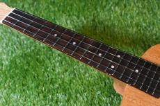 TODO MUSIC UTD-B10C Concert_7