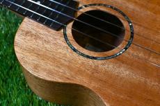 TODO MUSIC UTD-B10C Concert_9